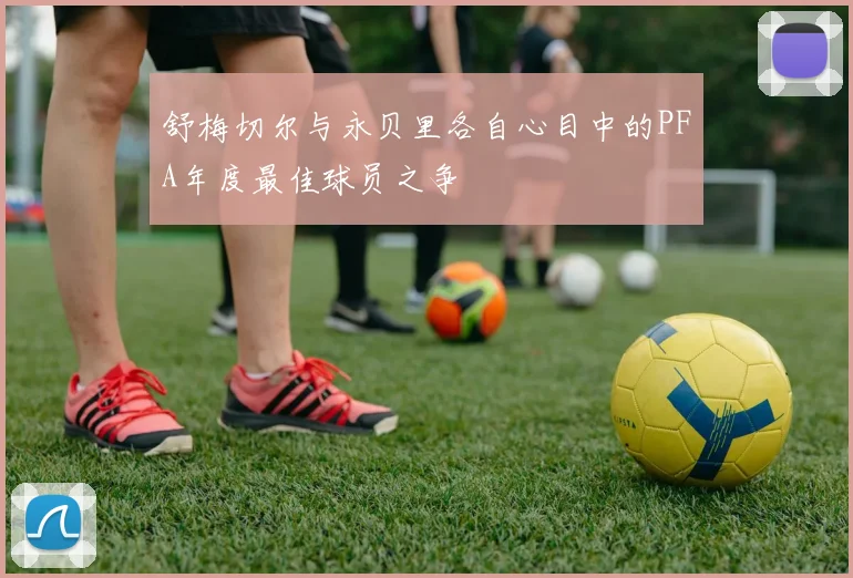 舒梅切尔与永贝里各自心目中的PFA年度最佳球员之争